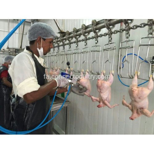 خط پردازش نیمه اتوماتیک Evisceration